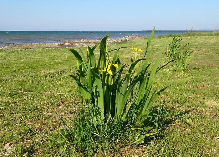 假日公园 哈普宿度假屋 Haapsu