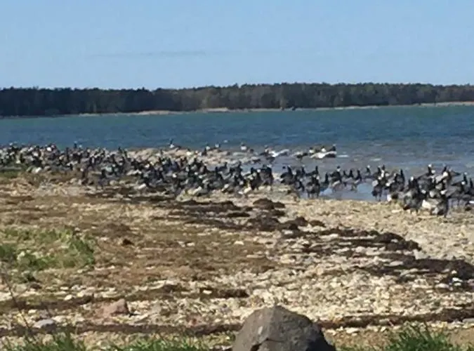 哈普宿度假屋 *